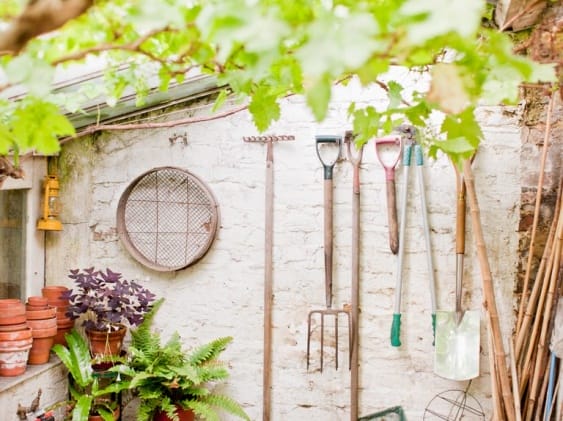 18 Must-Have Tools for Home Gardening 2024